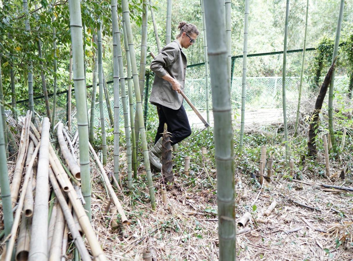 Niwamori_Org Nara Ngoại thất bức ảnh